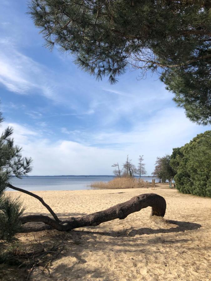 Gite Au Coeur Des Landes Lue Kültér fotó