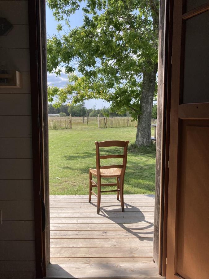 Gite Au Coeur Des Landes Lue Kültér fotó